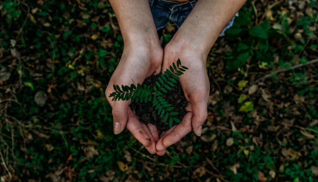 In the background, two hands hold soil with seedlings to the camera. In the foreground is the writing: Connect Across Seed Funding.